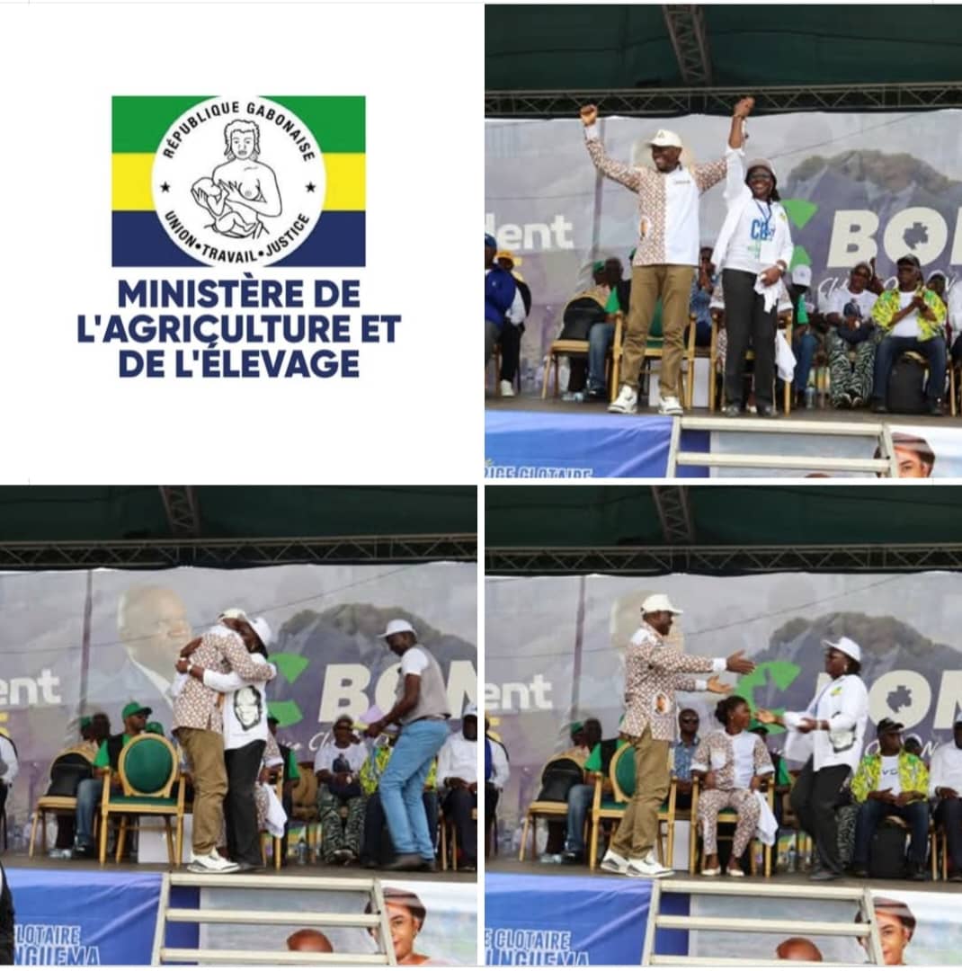 Communication ministérielle en période électorale : entre obligation de neutralité et risques d&rsquo;amateurisme