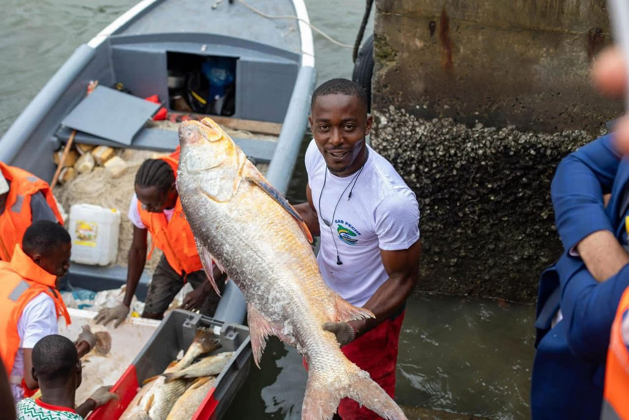 Gab Pêche : Le Gabon reprend le contrôle de ses ressources halieutiques et trace la voie de la souveraineté alimentaire