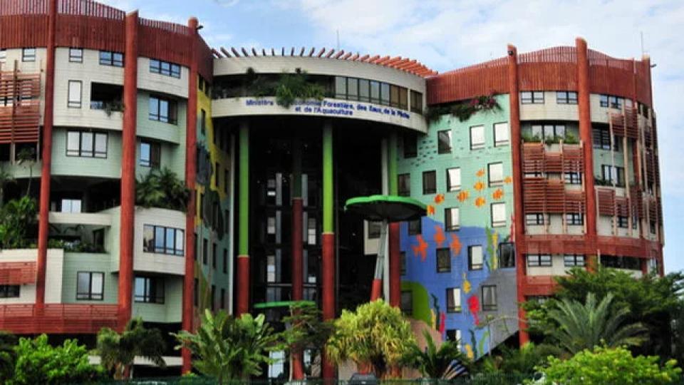 Eaux et Forêts : grève des agents pour 15 mois d’arriérés de salaires et crise de gouvernance