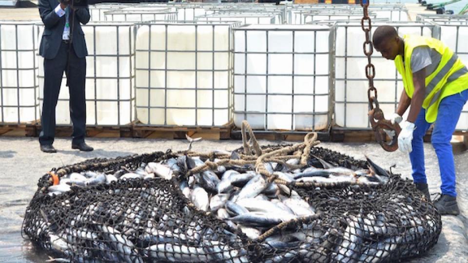 Gabon–UE : vers une rupture stratégique sur la pêche, l’État redessine sa politique halieutique