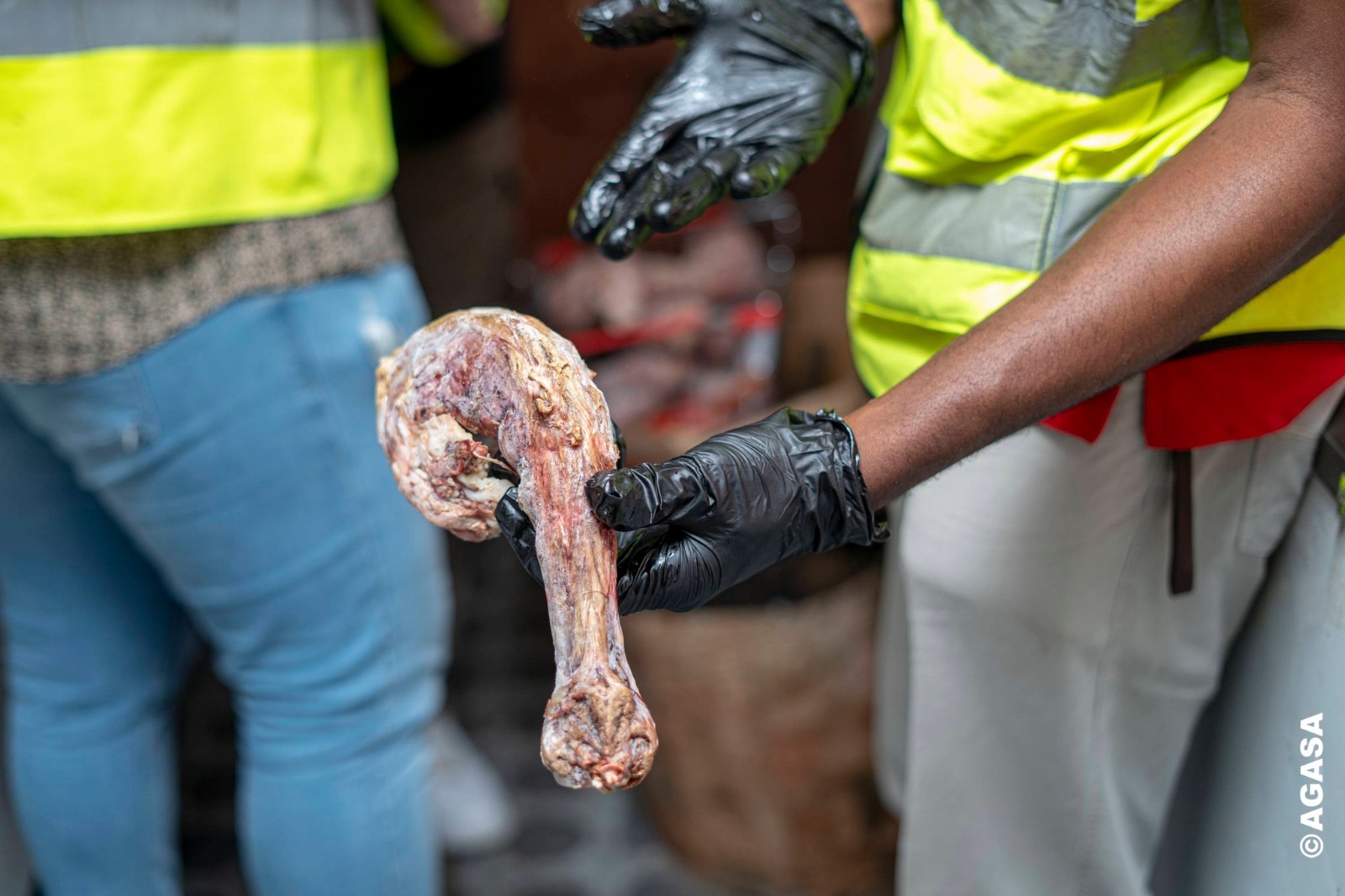 Gabon : produits carnés avariés saisis à Baraka, l’AGASA renforce ses contrôles de proximité