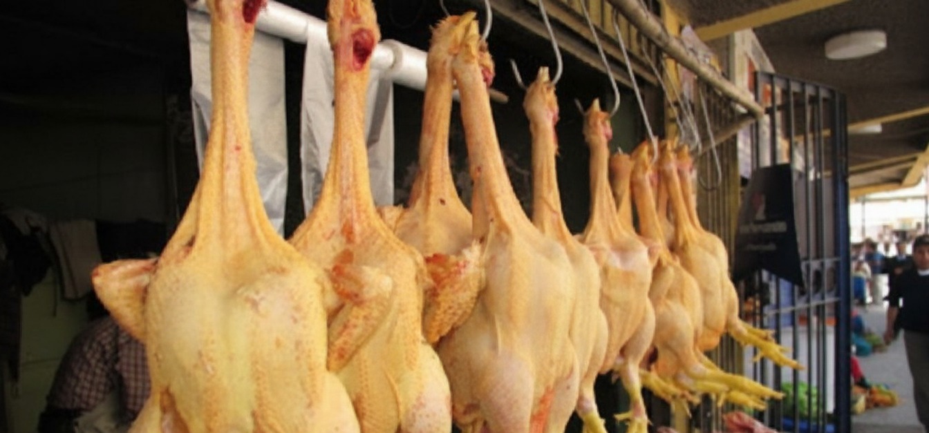 Interdiction des importations de poulet : le Gabon face à l’échéance critique de 2027