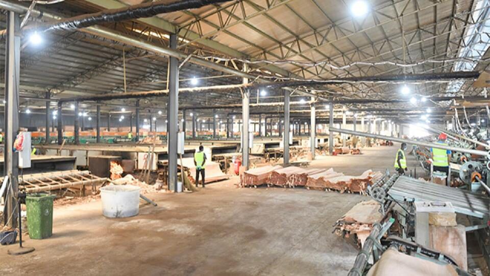 Industries du bois : le Gabon confirme sa relance avec une croissance de 7,7 % au troisième trimestre 2025