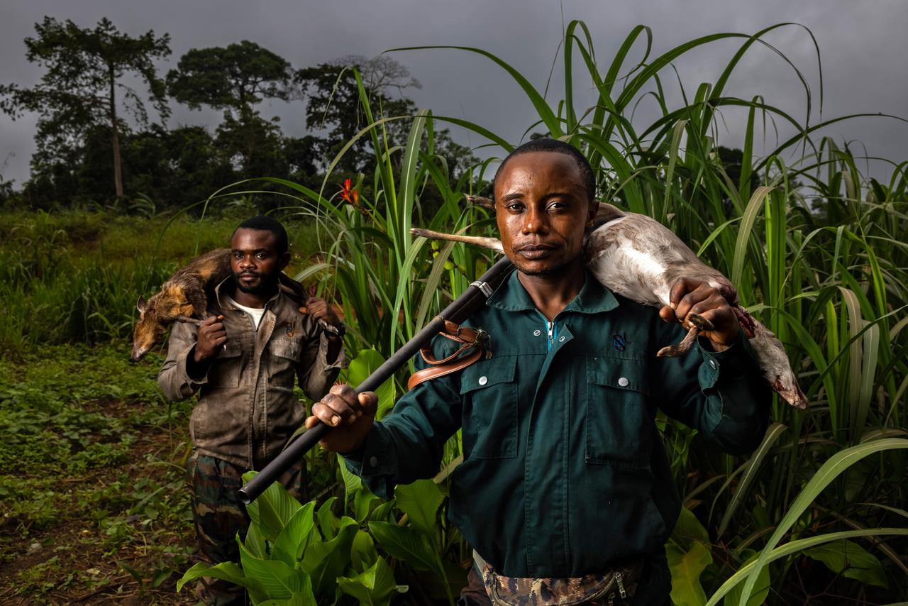 Gabon : vers l’identification officielle des chasseurs autorisés pour la filière de la viande de brousse