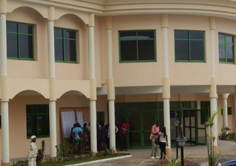 Gabon : le nouvel Article 58 du Code de la nationalité, un frein pour les citoyens naturalisés dans la haute fonction publique