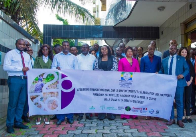 Gabon : Biodev30 renforce les politiques publiques sectorielles pour la biodiversité Gabon : Biodev30 renforce les politiques publiques sectorielles pour la biodiversité