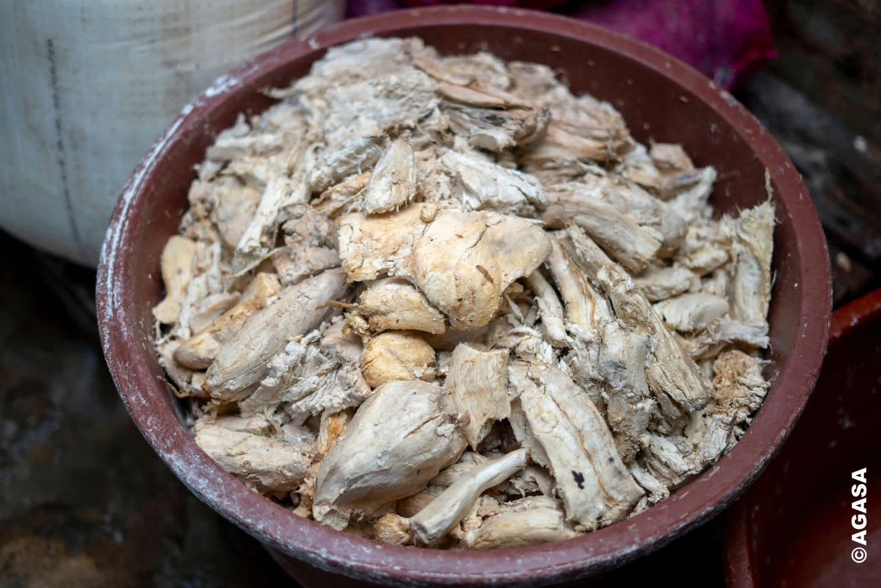 Alerte sanitaire au Gabon : l’AGASA ferme massivement des points de vente