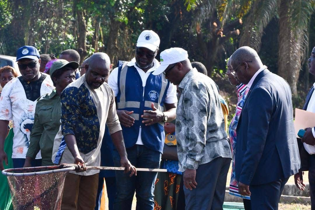 La Peyrie renaît : le Gabon relance un pilier historique de son aquaculture