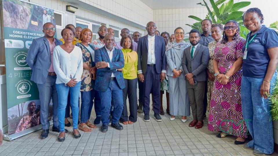 Conflit Homme-Éléphant : le Gabon mise sur les ONG locales pour apaiser les tensions rurales