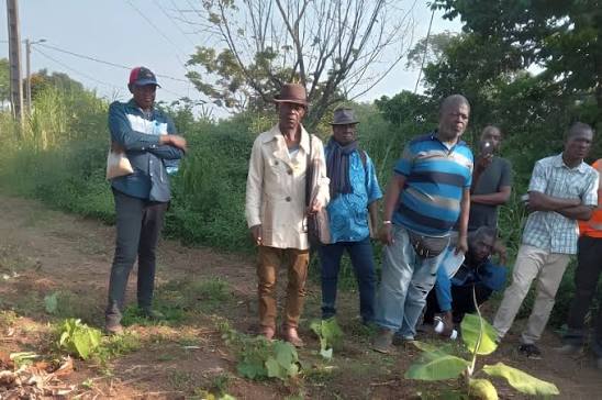 Nyanga : la caravane de formation en agriculture et élevage biologique poursuit son parcours à Dienga Nyanga : la caravane de formation en agriculture et élevage biologique poursuit son parcours à Dienga