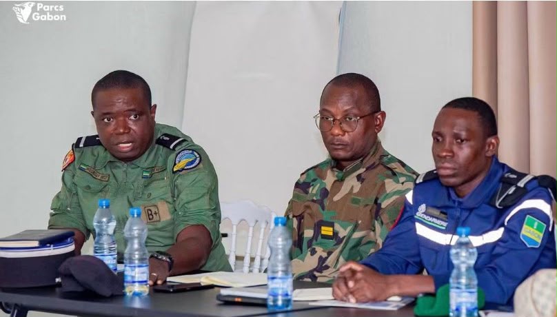 Braconnage, pêche illégale, déforestation : le Gabon prépare un numéro vert pour protéger sa biodiversité
