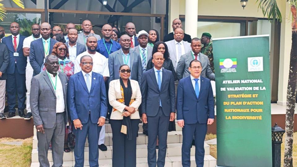 Biodiversité : le Gabon prépare sa nouvelle feuille de route pour concilier conservation et développement durable