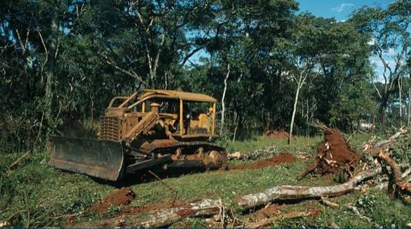 Orpaillage au Gabon : l’exploitation aurifère responsable de plus de 95 % des pertes forestières minières en six mois Orpaillage au Gabon : l’exploitation aurifère responsable de plus de 95 % des pertes forestières minières en six mois