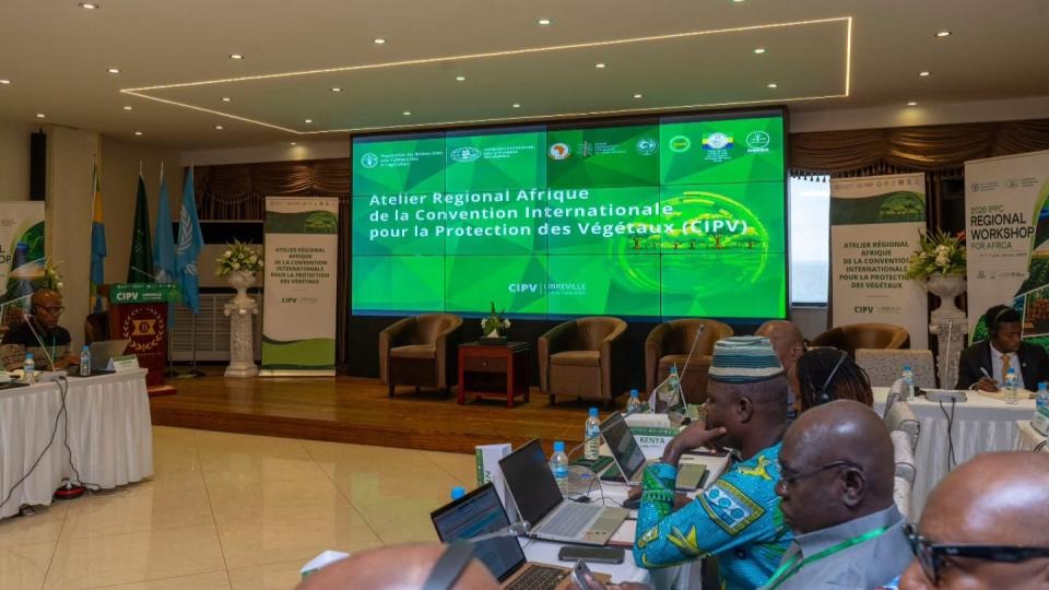 Biosécurité végétale : Libreville au cœur de la riposte africaine contre les ravageurs des cultures