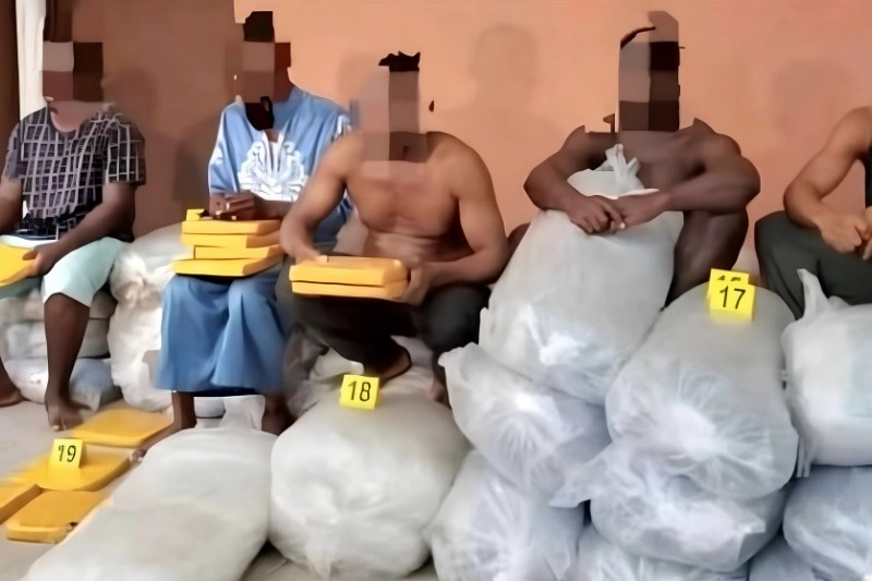 Plus d’1,3 tonne de cannabis saisie : un réseau régional démantelé au Gabon