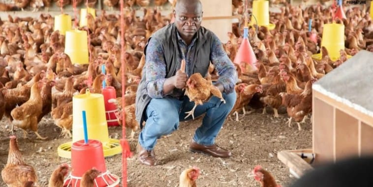 Filière avicole : le gouvernement et 150 fermes partenaires fixent le cap Filière avicole : le gouvernement et 150 fermes partenaires fixent le cap