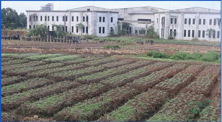 Modernisation des universités au Gabon : entre espoir et désillusion, les étudiants attendent du concret Modernisation des universités au Gabon : entre espoir et désillusion, les étudiants attendent du concret